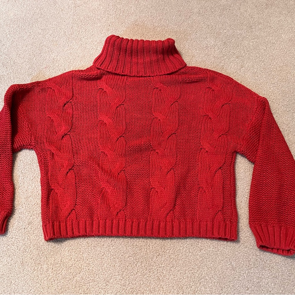 NWOT Cotton Turtleneck Sweater